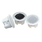 Pair 5.25" Enclosed Ceiling Sp